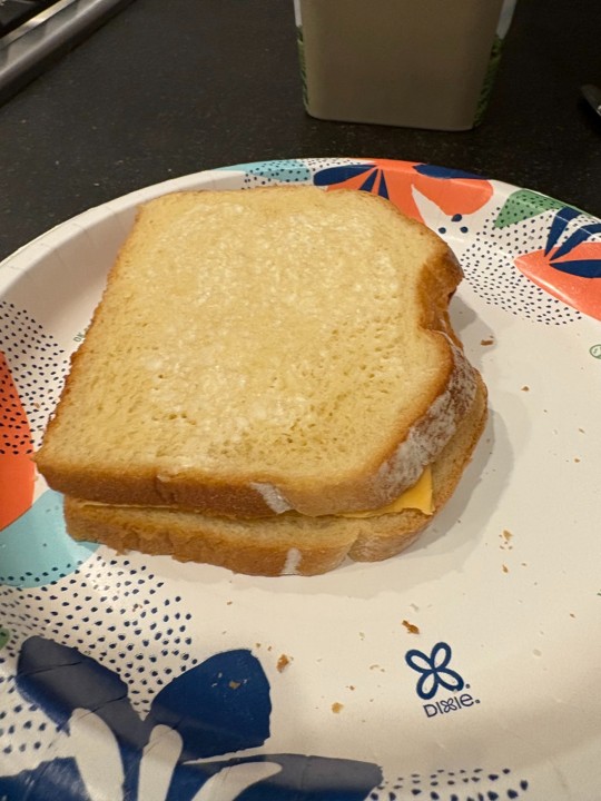 assembled bread and cheese sandwich