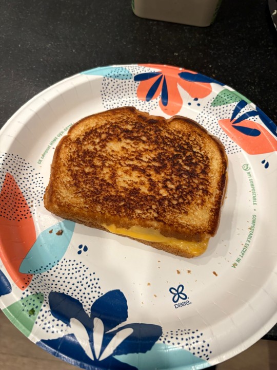 plated grilled cheese