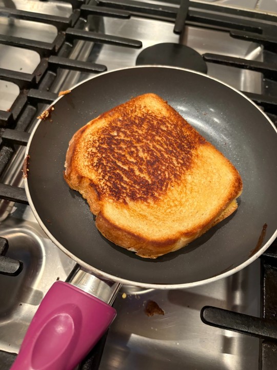 toasted grilled cheese